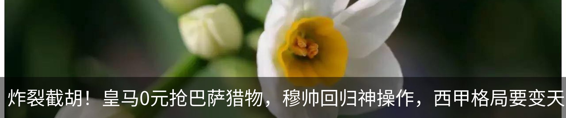 新闻中心